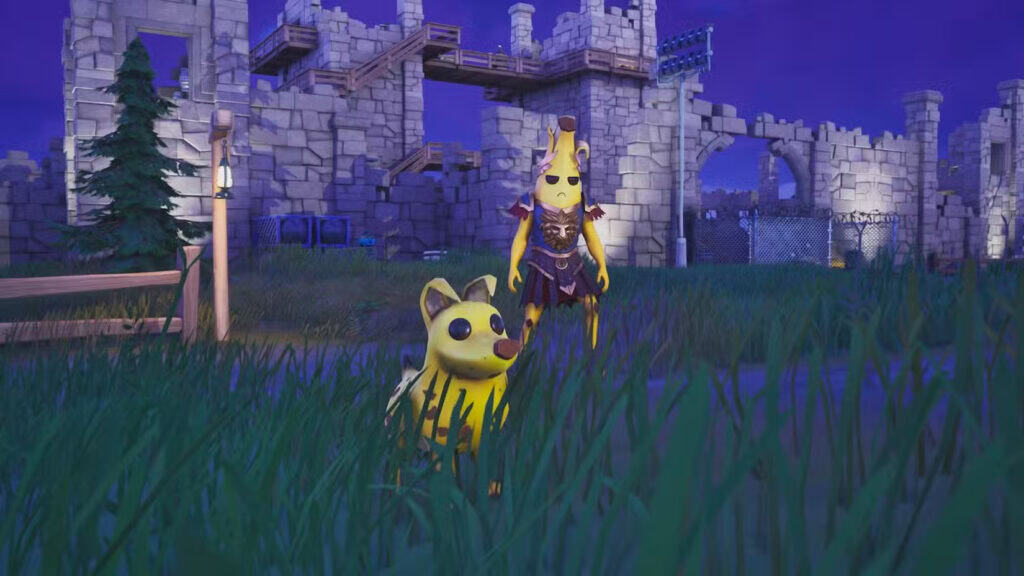 Fortnite Compañeros