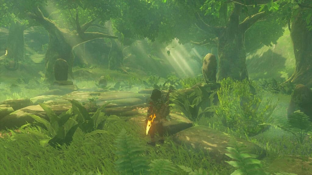 bosque perdido en Zelda