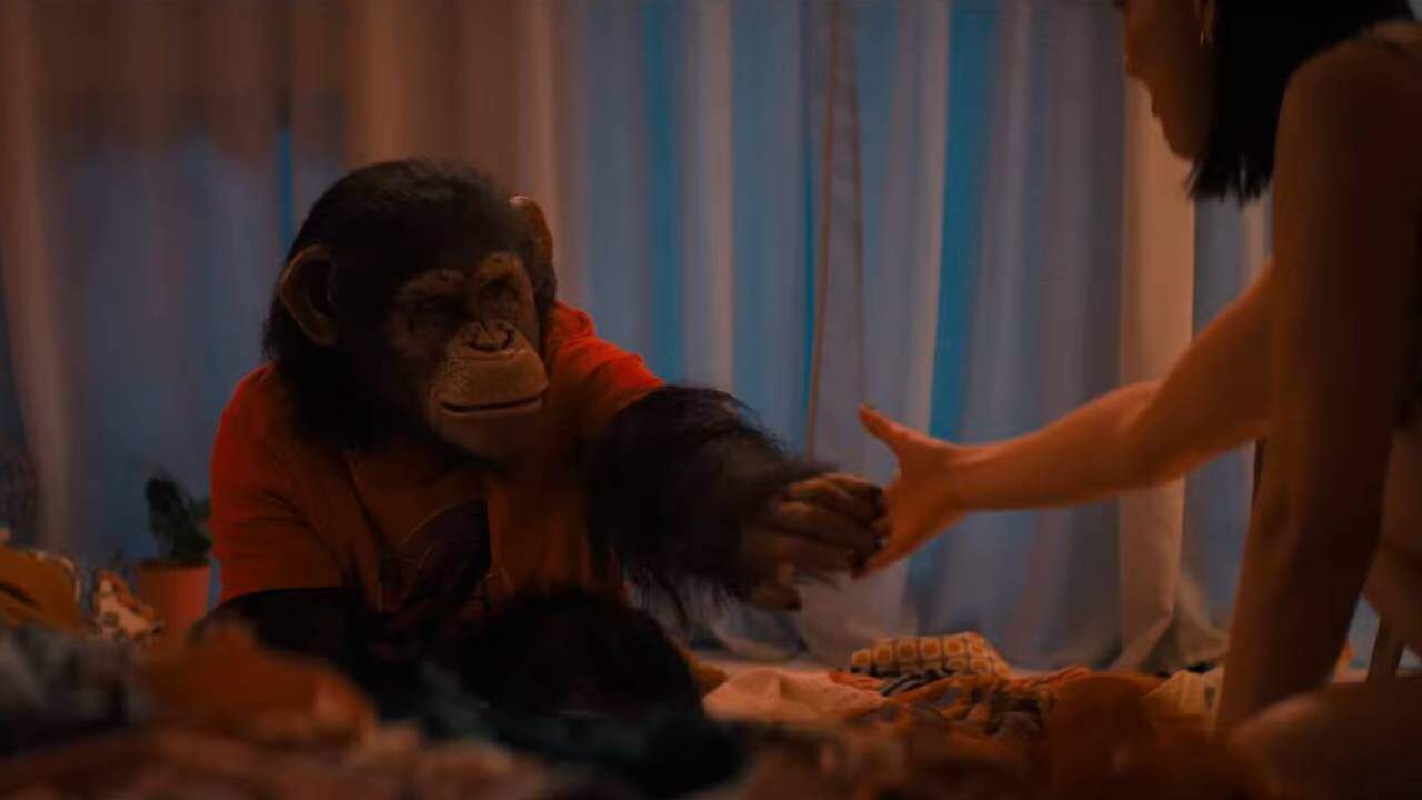 Imagen de Primate, película de terror sobre un chimpancé violento, uno de los estrenos de cine de 2026.